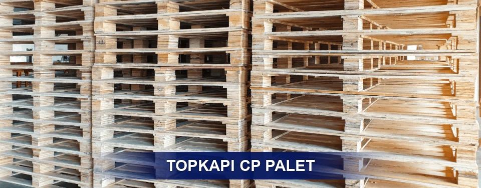 Topkapı Standart Tipler
