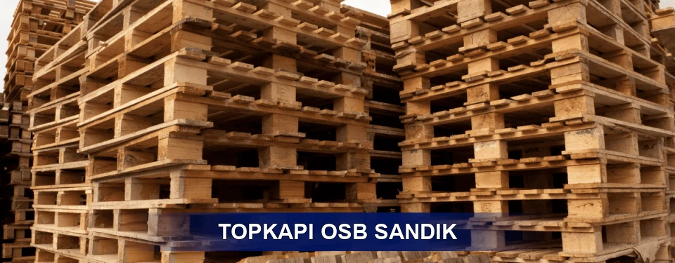 Topkapı Ölçü Planı